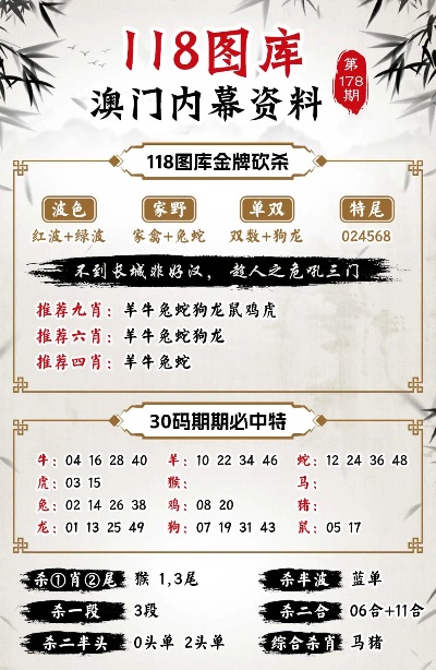 澳門(mén)王中王100%期期中一期,專家解說(shuō)解釋定義_游玩版57.891