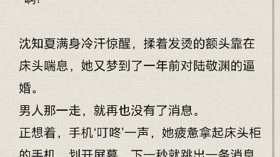 夏知晚官逸景最新章節(jié),夏知晚官逸景最新章節(jié)，探尋故事的魅力轉折