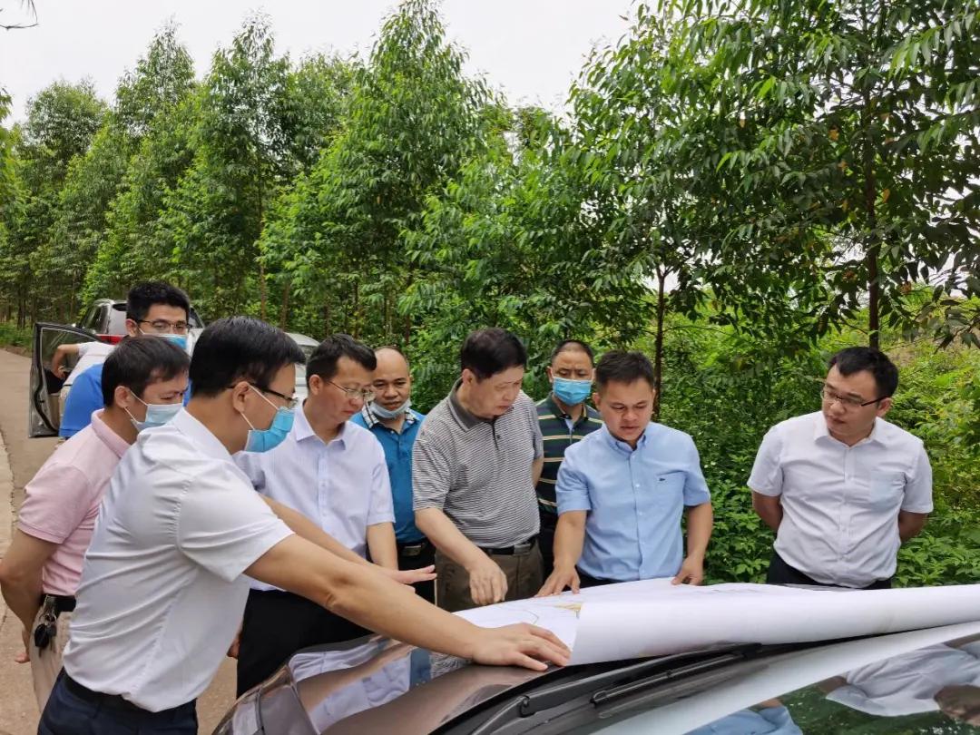 南寧龍象谷最新資訊，游玩指南與技能學習步驟全解析