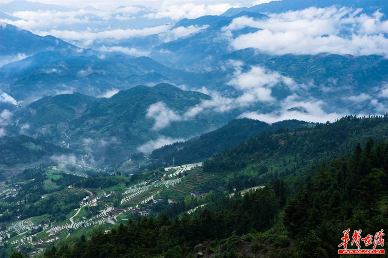 雪峰山資訊，一段溫馨有趣的探索之旅