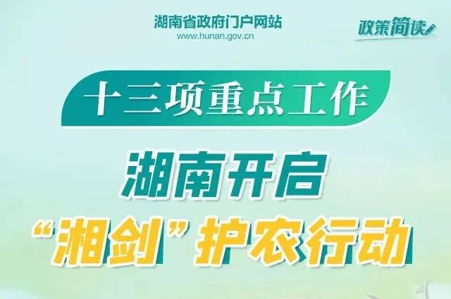 鋁業(yè)巨頭山鋁南定舉辦最新職位招聘盛宴，人才招募火熱進(jìn)行中！