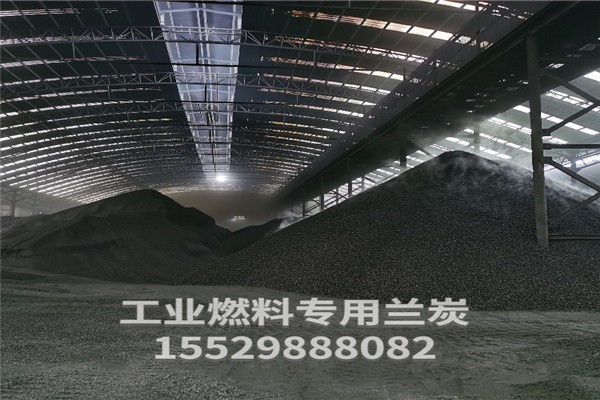 蘭炭?jī)r(jià)格揭秘，背后的故事與影響因素分析