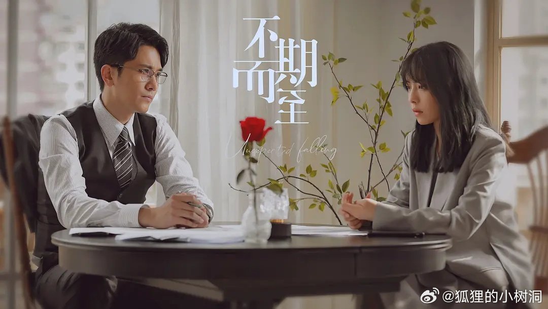 不期而至電視劇，從入門到進階的觀看指南