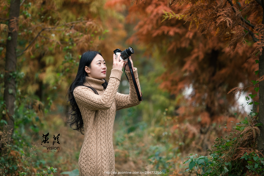 伊人在線電影，探索現(xiàn)代網(wǎng)絡(luò)影視的新境界