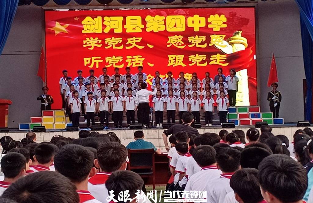 青蛙與狗的泳池挑戰(zhàn)，揭秘游泳比賽背后的故事，青蛙夢工廠的秘密探索