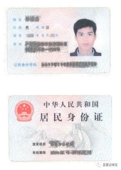 最新證照，友情與陪伴的溫馨故事之旅