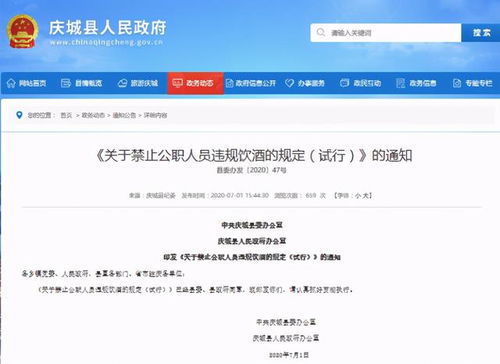 酒駕處罰2024最新標(biāo)準(zhǔn)詳解，步驟指南與更新概覽