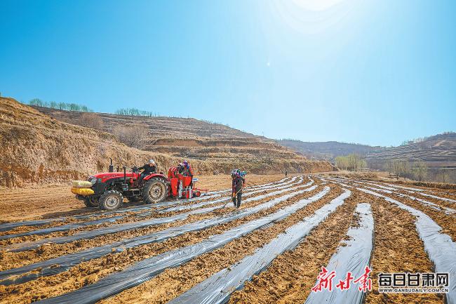 秦安最新新聞，城市溫情日常溫馨小事報(bào)道