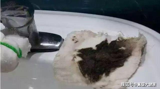 揭秘水污染真相，小杰的河流探索之旅——溫馨河流的秘密揭秘視頻