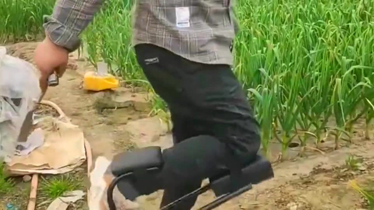 最新挖蒜工具，心靈與自然的完美交融
