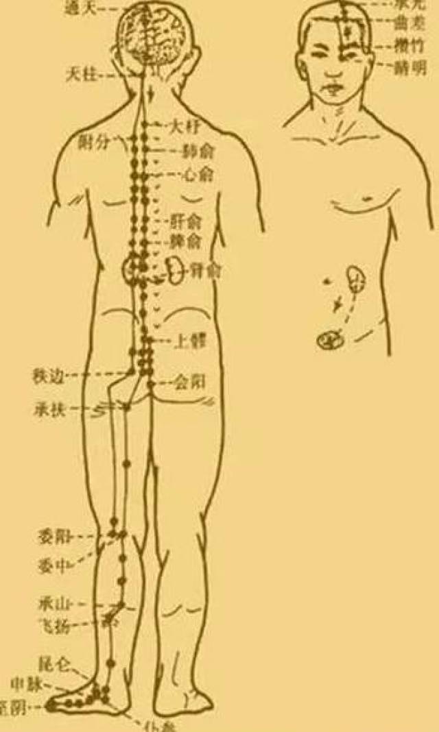 最新經(jīng)絡(luò)操，探索古老奧秘，重塑健康身姿