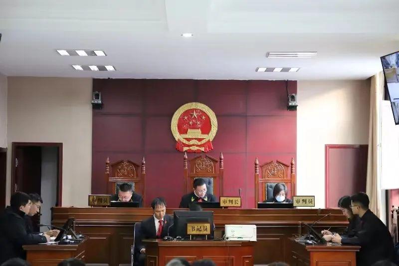 偏關(guān)最新案件深度解析，揭示真相，關(guān)注社會(huì)公正與公平