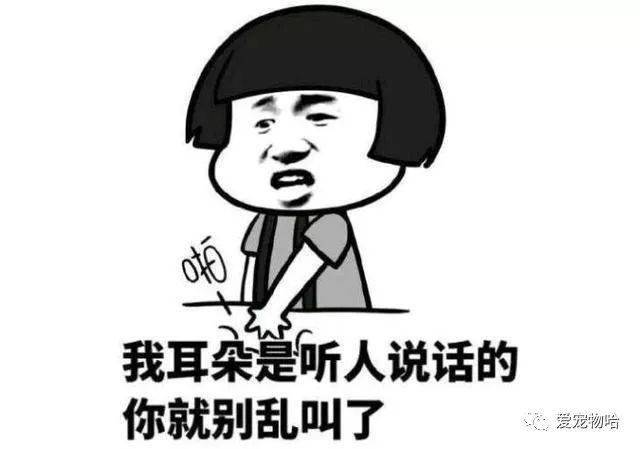 最新枕邊笑話，科技小寶貝，生活添樂趣