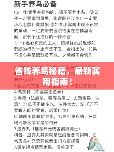 最新養(yǎng)鳥法規(guī)解析，觀點闡述與深度探討