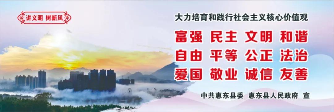 惠州肺炎最新動(dòng)態(tài)，小巷深處的獨(dú)特小店背后的故事
