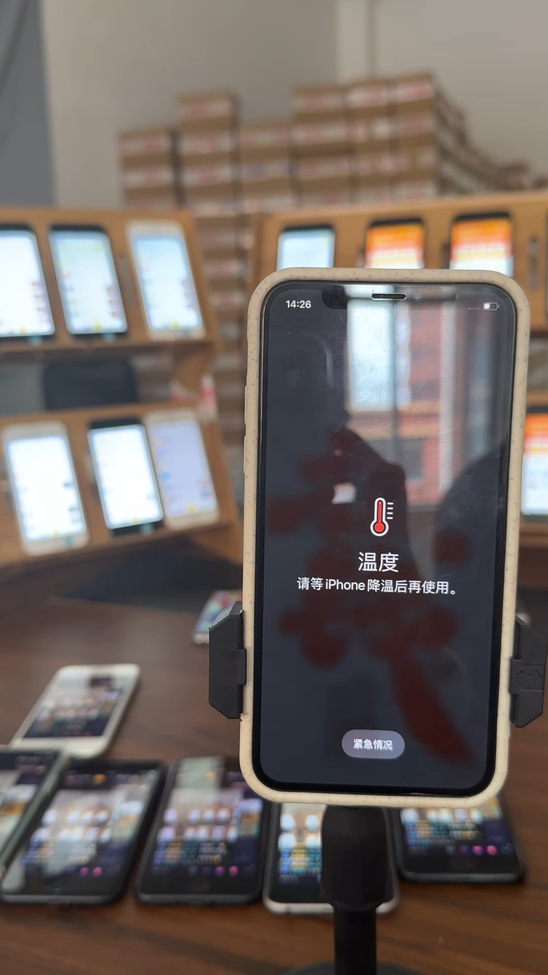 蘋果最新直播，科技與文化的完美融合盛宴