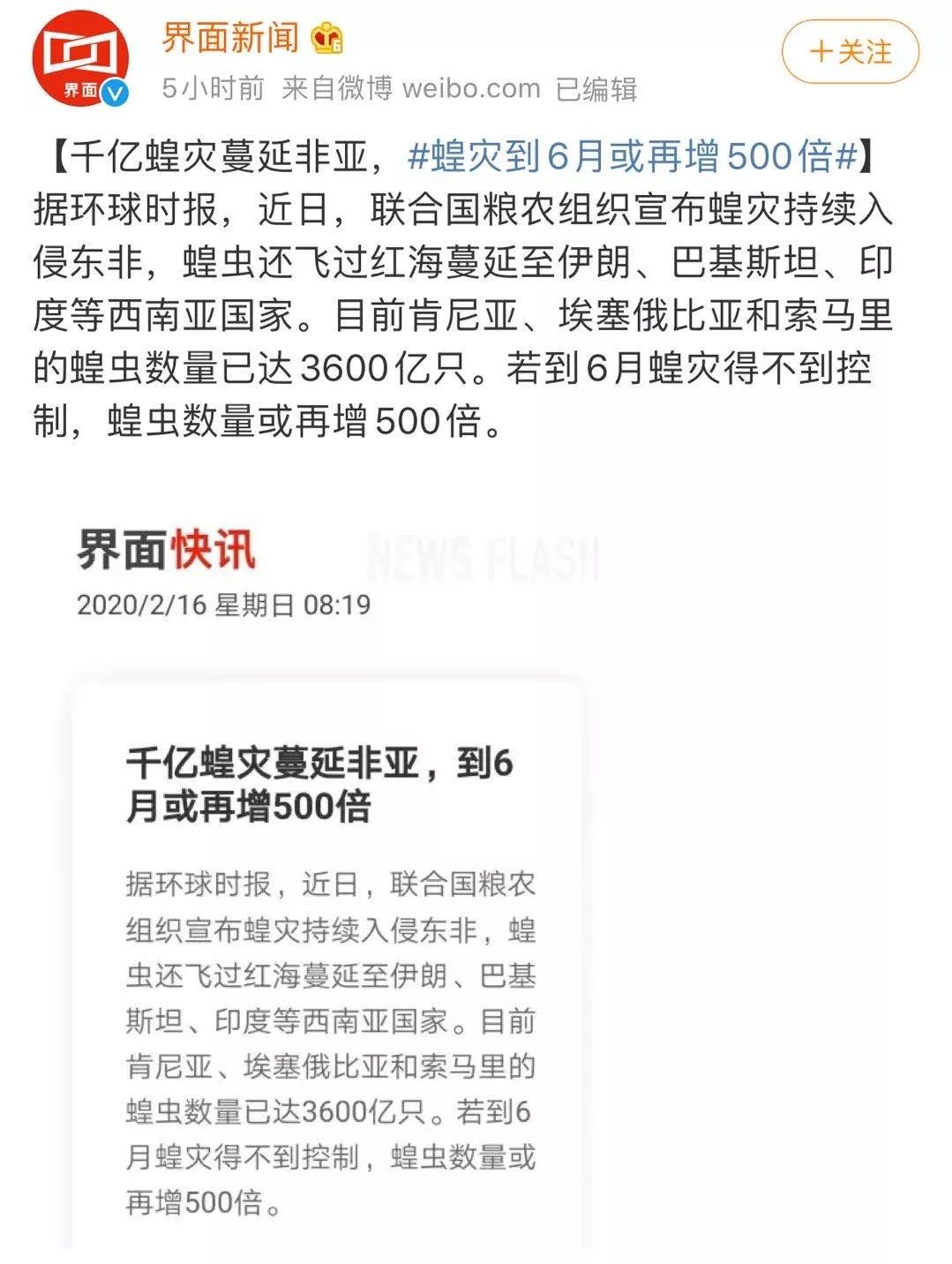 世界蝗災(zāi)最新動(dòng)態(tài)，探索自然美景的輕松之旅
