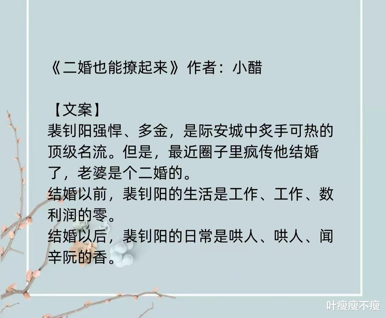 最新二婚小說，小巷深處的浪漫故事