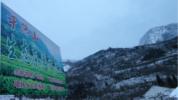 千佛山綿陽(yáng)最新探索，巷弄深處的獨(dú)特風(fēng)味之旅