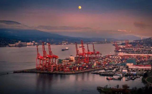 揭秘，53艘運煤船在華新動態(tài)與獨特煤香小店的故事