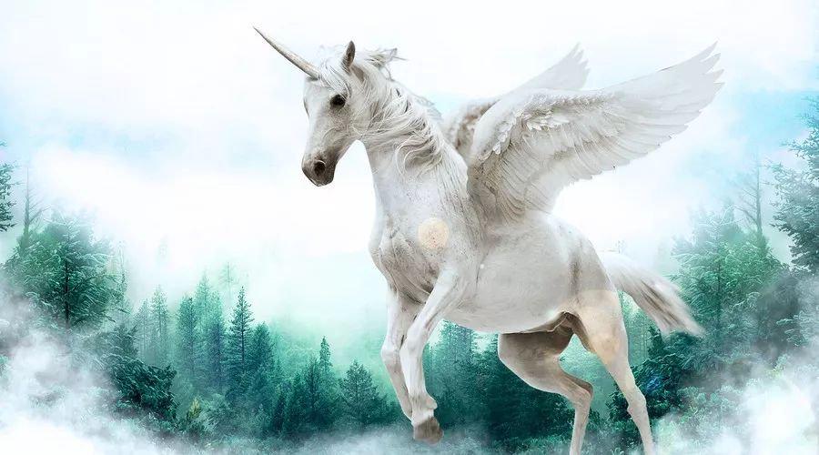 中國最新獨角獸，自信與成就感的源泉